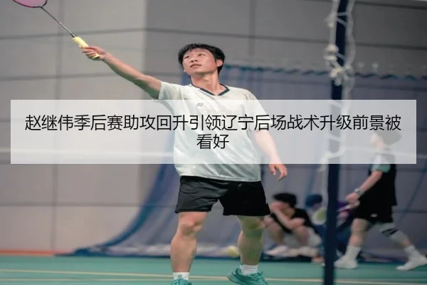 赵继伟季后赛助攻回升引领辽宁后场战术升级前景被看好